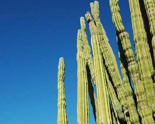 Mexicali, MÃ©xico