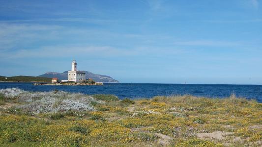 Olbia