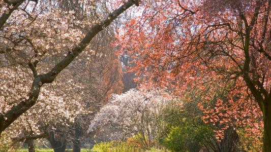 Christchurch