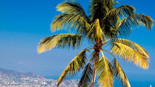 Acapulco