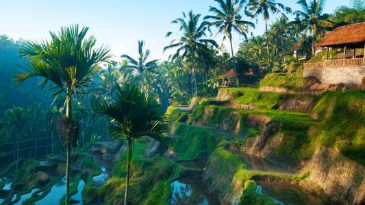 Ubud