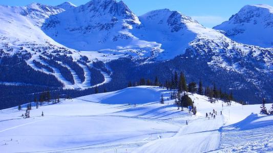 Whistler