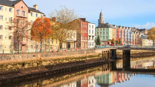 Cork