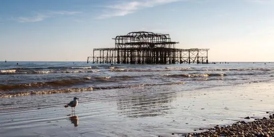 Brighton & Hove