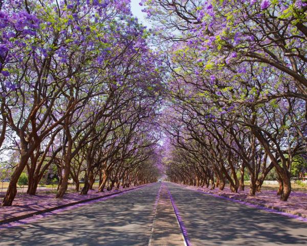 Όμορφη θέα του προορισμού Harare