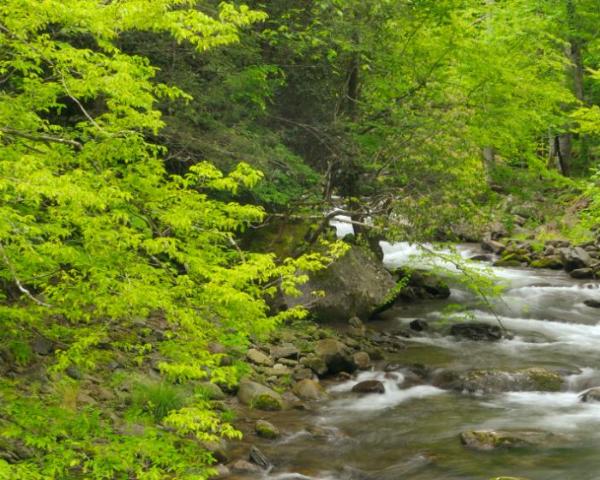 Rio Quente şehrinden güzel bir manzara