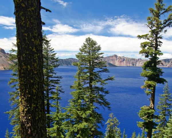 A beautiful view of Klamath Falls.