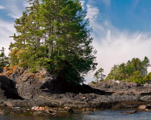 Krásný pohled na město Port Renfrew