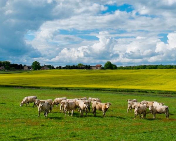 Een mooi uitzicht van Le Creusot