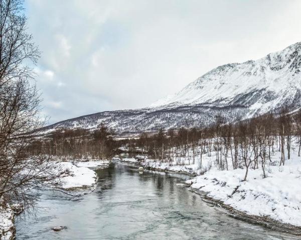 Unes vistes boniques de Nordkjosbotn