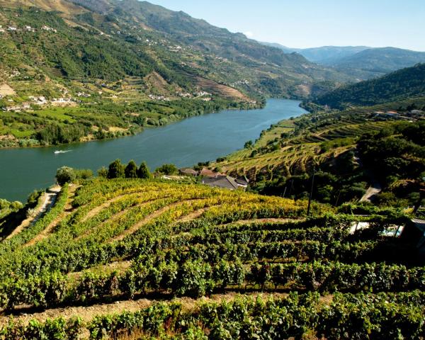 Uma bela vista de: Peso da Regua