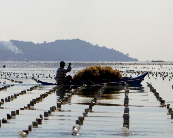 A beautiful view of Taytay