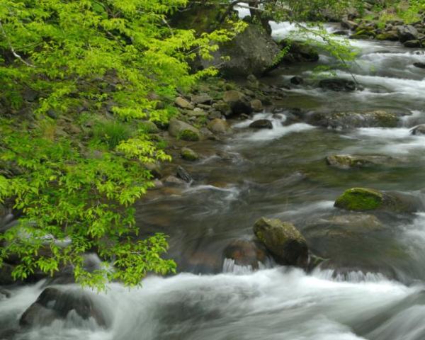 A beautiful view of Alto Paraiso de Goias.