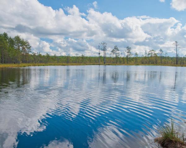 Kaunis näkymä kaupungista Elva