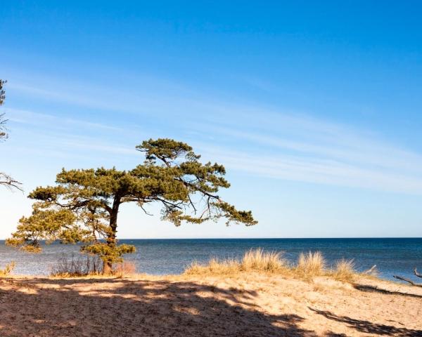 Kaunis näkymä kaupungista Domesnes