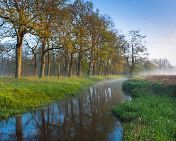 A beautiful view of Sellingen.