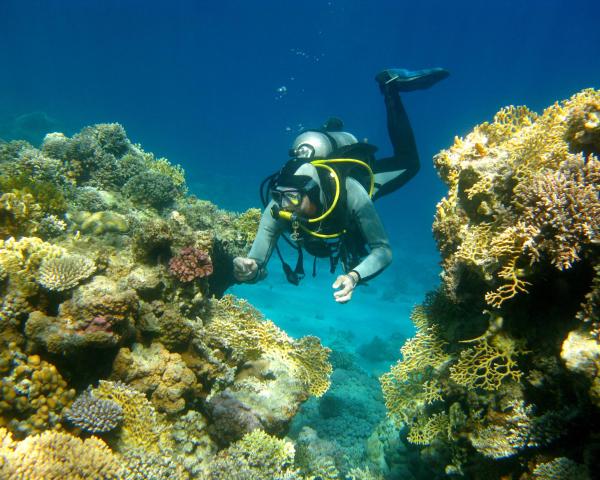 Una bellissima vista di Dhigurah