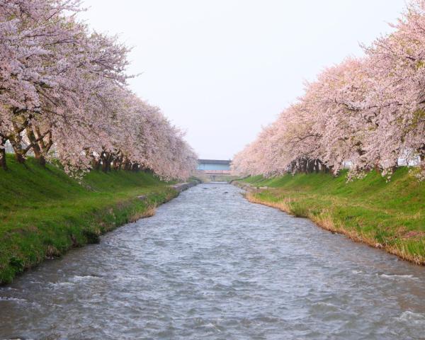 A beautiful view of Toyama.