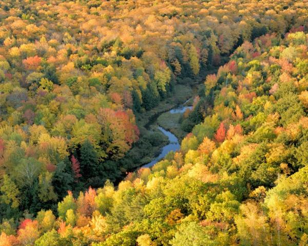 Fallegt útsýni yfir staðinn Sault Ste. Marie