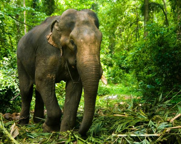 A beautiful view of Thekkady