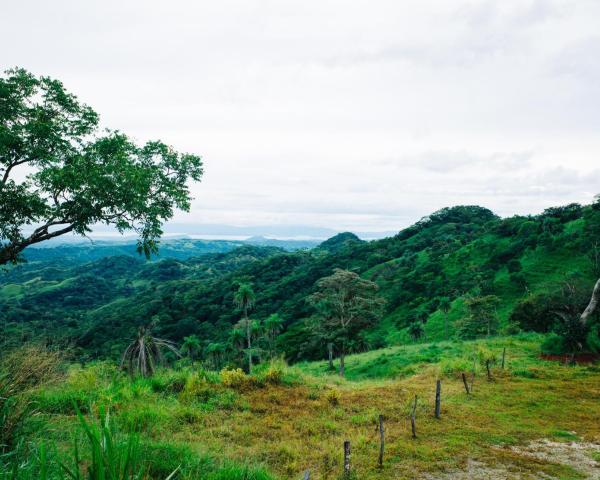 Pemandangan indah Monte Verde