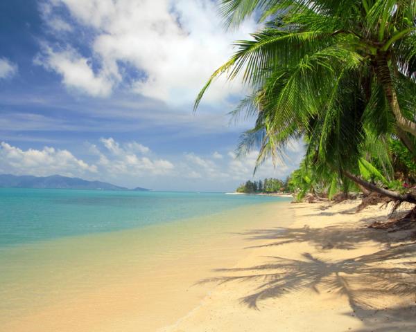 A beautiful view of Ban Khlong Phrao.