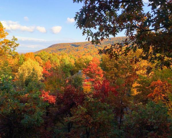 Гарний краєвид міста Tannersville