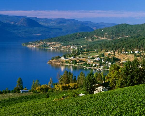 A beautiful view of Kelowna.