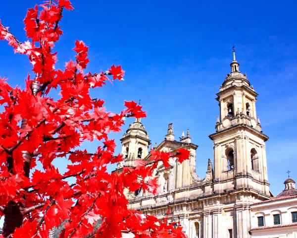 Piękny widok miasta Bogota