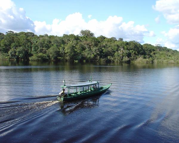 A beautiful view of Manaus.