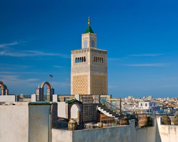 A beautiful view of Tunis.