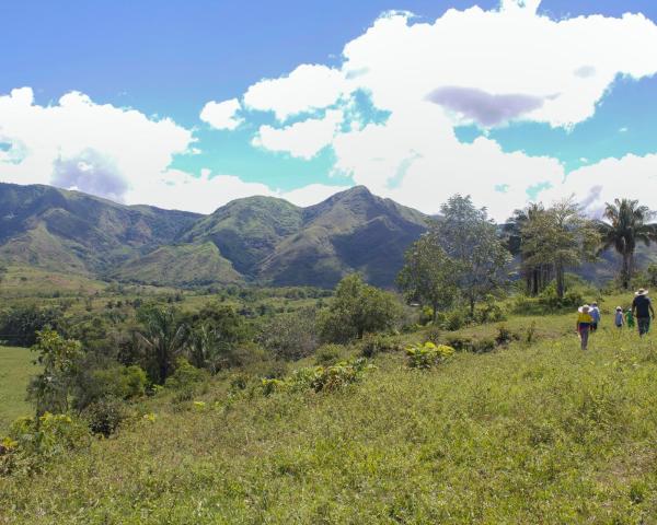 Una bonita vista de Apicala