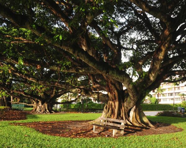 Kaunis näkymä kaupungista Palm Beach Gardens