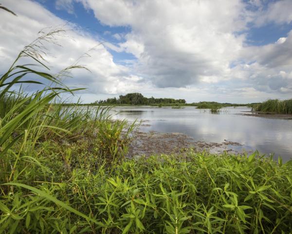 A beautiful view of Hardeeville.