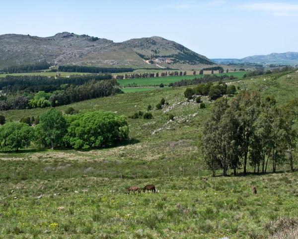 Unes vistes boniques de Merlo