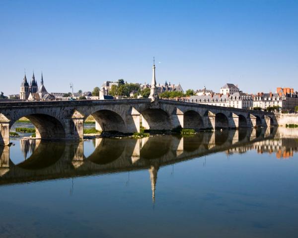 A beautiful view of Blois.