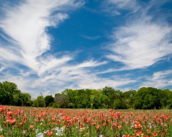 Een mooi uitzicht van Boerne