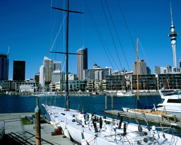 A beautiful view of Auckland.