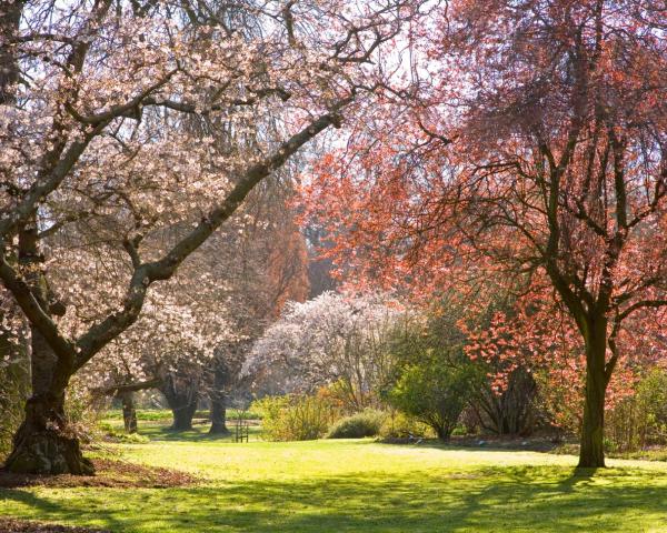 Vista espectacular de Christchurch