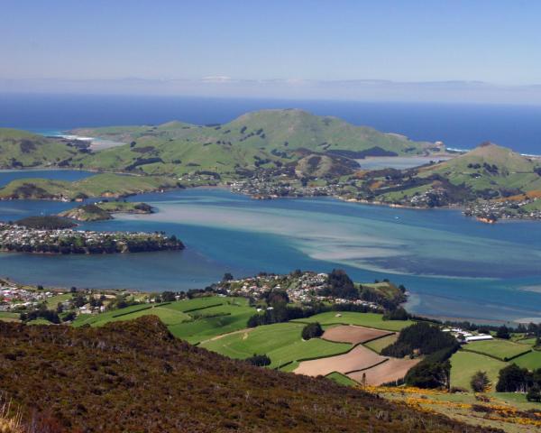Uma bela vista de Dunedin