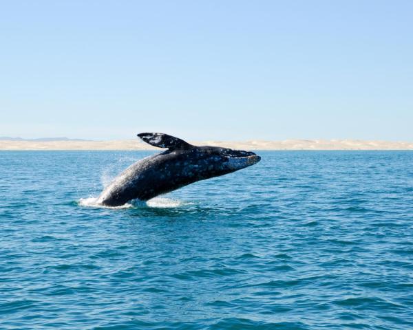 A beautiful view of Ensenada.