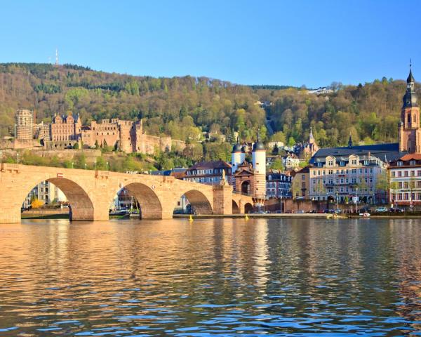 Krásný pohled na město Heidelberg