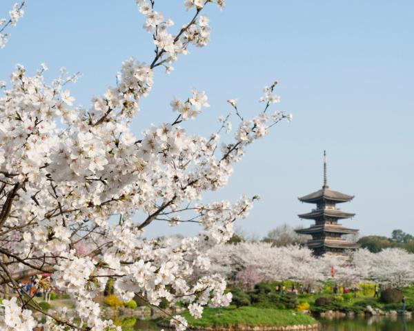 A beautiful view of Wuhan