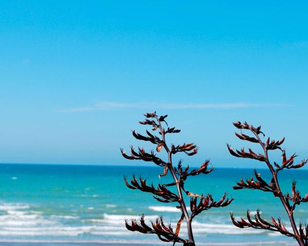 Krásny pohľad na mesto Snells Beach