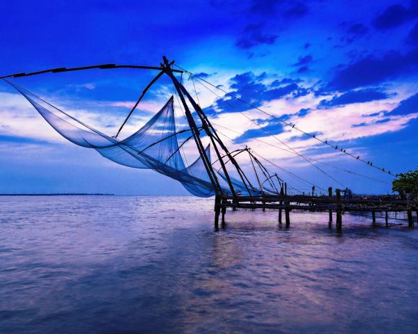 A beautiful view of Cochin