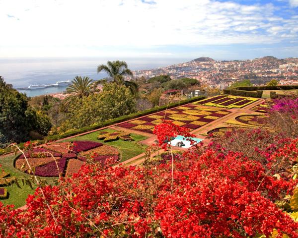 A beautiful view of Funchal