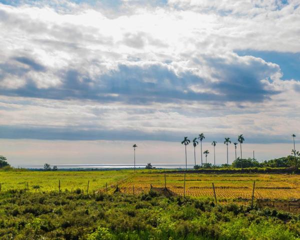 A beautiful view of T'ai tung