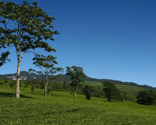 A beautiful view of Lembang.