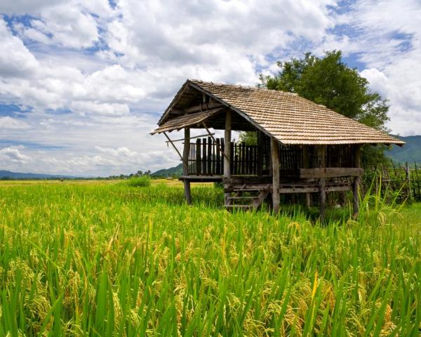 A beautiful view of Amphoe Pai.