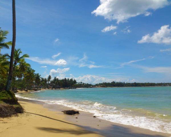 A beautiful view of Las Terenas